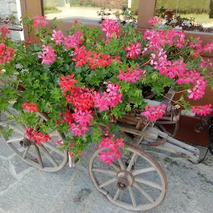 Del Contadino , Sondrio Italia